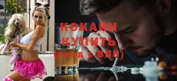 спайс Арсеньев