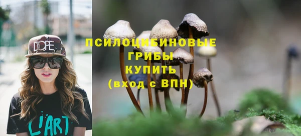 спайс Арсеньев