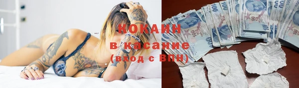 трава Аркадак