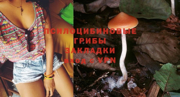 PSILOCYBIN Армянск