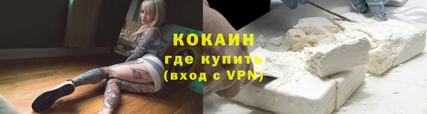 PSILOCYBIN Армянск