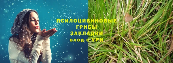 трава Аркадак