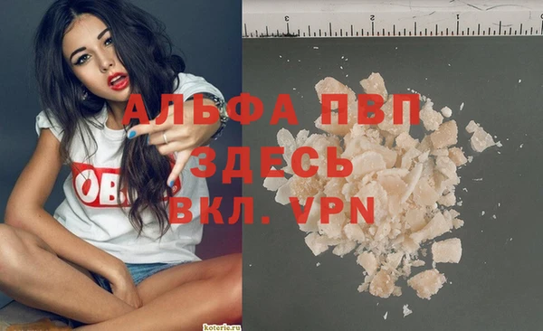 спайс Арсеньев