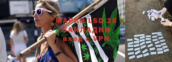 трава Аркадак